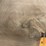 #9120-•-(2)-walnut-slabs-(o3)-image-3
