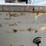 #10510-•-mirrocraft-16’-boat-(no-title)-(located-in-rosendale-wi)-image-14