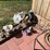 #6241-•-yard-decorations-image-5