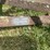 #1642-•-ferguson-tine-weeder-image-17
