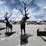 #404-•-majestic-elk-statue-image-3