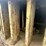 #10490-•-yale-fork-lift-image-29