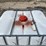 #10533-•-ibc-tote-image-9