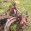 #1638-•-3-bottom-moldboard-plow-image-16
