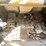bobcat-863-image-21