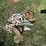 #6282-•-boat-anchors-image-2