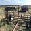 #6223-•-(4)-section-drag-image-2