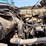 1996-ford-l8000-image-10