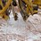 vermeer-r23-image-12