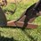 john-deere-16-image-11