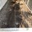 #503-•-40'-high-cube-multi-door-shipping-container-image-12