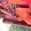 #204-•-1997-ford-4202l-garbage-truck-(has-mn-title)(clarks-grove,-mn)-image-11