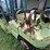 #135-•-clark-forklift-(shawano,-wi)-image-22