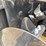 #2541-•-new-wolverine-skid-steer-trencher-image-19