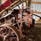 #628-•-mccormick-one-row-corn-binder-(oak-creek,-wi)-image-5