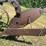 john-deere-18-image-8