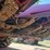 case-ih-2208-image-35