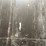 #500-•-40'-high-cube-multi-door-shipping-container-image-11