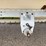2011-stoughton-trailer-image-23
