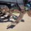 dmi-tiger-image-15