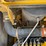 2005-komatsu-wa380-image-64