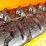 #1236-•-sdlool-lawn-mower-image-25