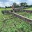 #2973-•-round-bale-wagon-image-3