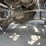 #25404-•-2003-mack-cv713-granite-tandem-axel-dump-truck-image-49