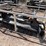 #2400-•-unused-2026-landhonor-power-rake-attachment-image-9