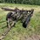international-14-image-2