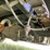 2021-ford-e350-image-93