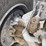 #25405-•-2003-mack-cv713-granite-truck-image-68