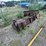#509-•-4-in-1-skid-steer-bucket-(green-bay,-wi)-image-6