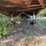 flatbed-semi-trialer-image-3