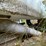 #6232-•-8'-dodge-truck-bed-image-12