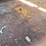 #204-•-1997-ford-4202l-garbage-truck-(has-mn-title)(clarks-grove,-mn)-image-69