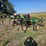 john-deere-714-image-15