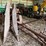 #628-•-mccormick-one-row-corn-binder-(oak-creek,-wi)-image-2