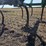 john-deere-1600-image-5