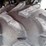 2010-polaris-sportsman-image-38