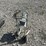 #53156-•-graco-magnum-x7-airless-paint-sprayer-inv#53156-image-4
