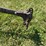 14”-walking-plow-image-11