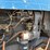 ford-tractor-image-28