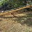 alloway-gs15-auger-image-2