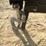 #2515-•-greatbear-forklift-jib-image-9