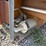 #53154-•-jacuzzi-whirlpool-bath-297607-inv#53154-image-7