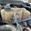 2010-ford-f250-sd-image-62