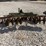 john-deere-h1300-image-3