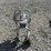 #53156-•-graco-magnum-x7-airless-paint-sprayer-inv#53156-image-5