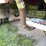 #204-•-1997-ford-4202l-garbage-truck-(has-mn-title)(clarks-grove,-mn)-image-38